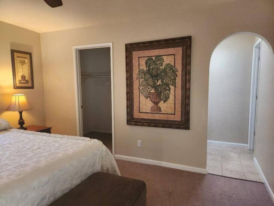 Southwestern Charm - Minutes From Everything 3/2 Sierra Vista Extérieur photo